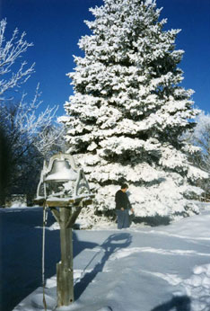 A Snow Covered Tree With a Wooden Post With Bell