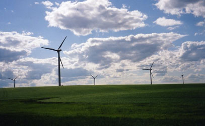 A Green Field With Wind Mill Fans