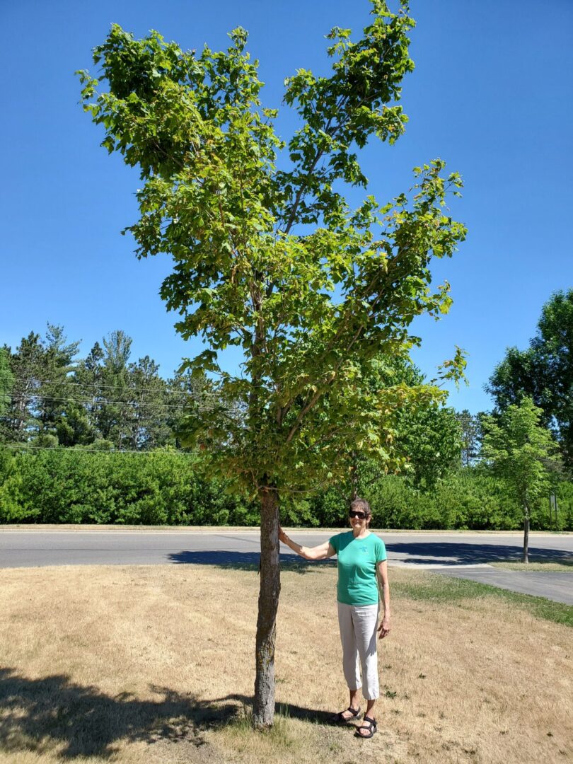 A woman holding the tree and posing